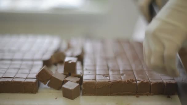 Cocinero prepara chocolates hechos a mano — Vídeo de stock