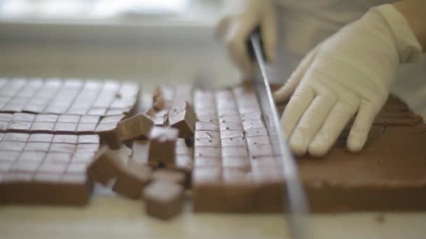 Szakács készíti kézzel készített csokoládé — Stock videók