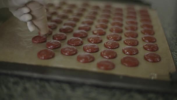 Vervaardiging van handgemaakte desserts — Stockvideo