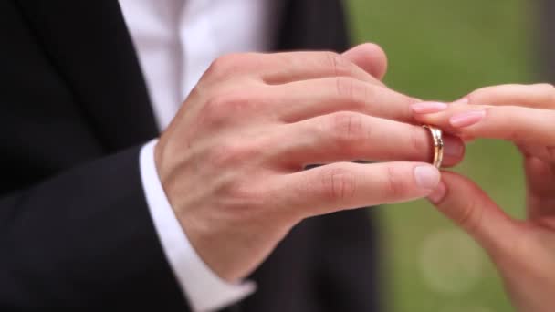 Женская рука ставит перстень мужчине — стоковое видео