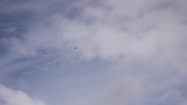 Самолет летит в облачном небе — стоковое видео