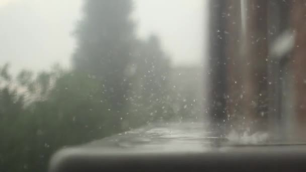 Fortes chutes de pluie en grosses gouttes — Video