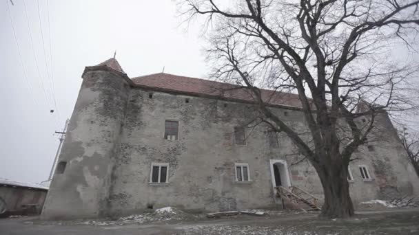 palais délabré et un arbre nu 