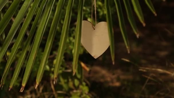 The toy is a natural, wooden heart, hanging on a palm tree, and swaying in the light wind — Stock Video