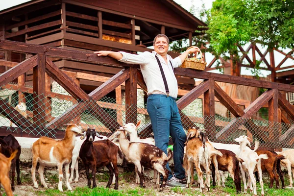 Mutlu orta yaşlı bir adam, etrafında keçiler, bir çiftlikte, güneşli bir günde, ahşap bir çitin yanında duruyor.