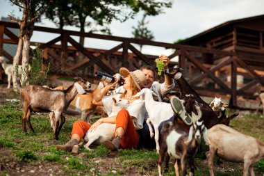 Mutlu bir aile, şapkalı bir adam ve bir kadın, güneşli bir yaz gününde, keçilerle çevrili bir çiftlikte rahatlıyor ve gülüyorlar.
