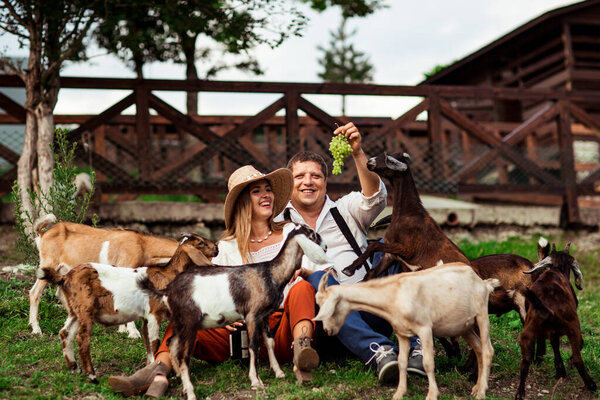 a happy family, a man and a woman in a hat, relaxing and laughing on a farm, surrounded by goats, on a sunny summer day