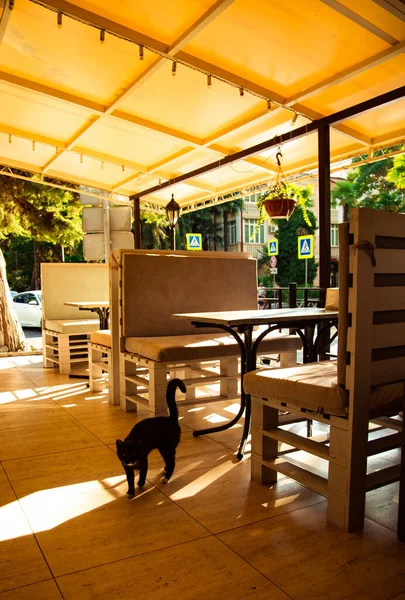 Acogedora Cafetería Aire Libre Verano Restaurante Con Elegante Interior Muebles — Foto de Stock