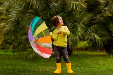 Sarı kazak, kot pantolon ve sarı çizme giyen güzel küçük kız yeşil palmiye ağaçlarının arka planında renkli bir şemsiyeyle dikiliyor.