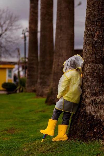 a little girl, wearing a raincoat with a hood and an umbrella in her hand.stands near a tree, in rainy weather