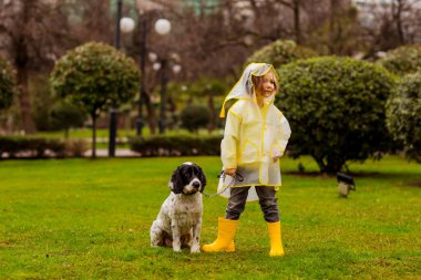 Sarı kapüşonlu ve sarı çizmeli güzel bir kız, bir bahar günü, Rus Spaniel cinsinin en sevdiği köpeğiyle parkta yürür.