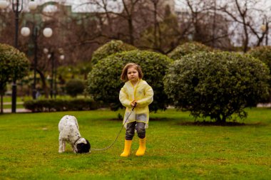Sarı kapüşonlu ve sarı çizmeli güzel bir kız, bir bahar günü, Rus Spaniel cinsinin en sevdiği köpeğiyle parkta yürür.