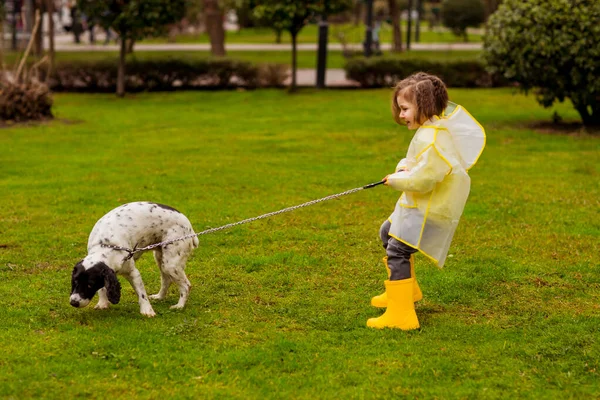 a beautiful girl in a yellow raincoat with a hood,and yellow boots, walks in the park with her favorite dog of the Russian Spaniel breed, on a spring day