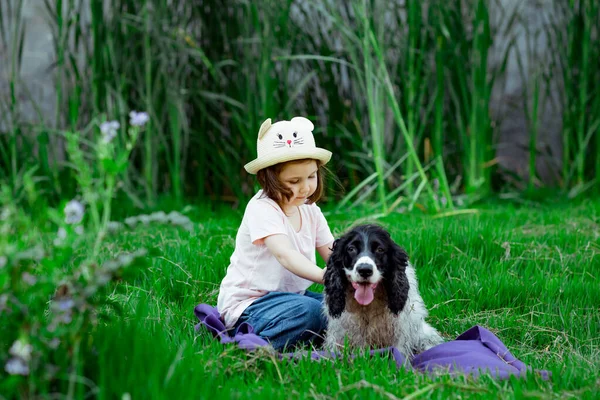Una Niña Pequeña Hermosa Sombrero Peinando Perro Favorito Parque Sobre —  Fotos de Stock
