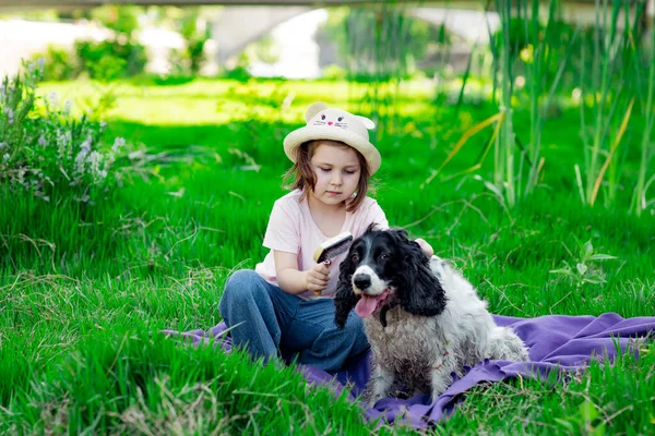 Une Petite Belle Fille Dans Chapeau Peignant Son Chien Préféré — Photo