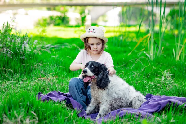 Una Niña Pequeña Hermosa Sombrero Peinando Perro Favorito Parque Sobre —  Fotos de Stock