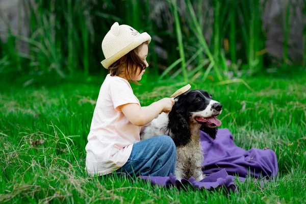 a small, beautiful girl in a hat, combing her favorite dog, in the park on a blanket and green grass