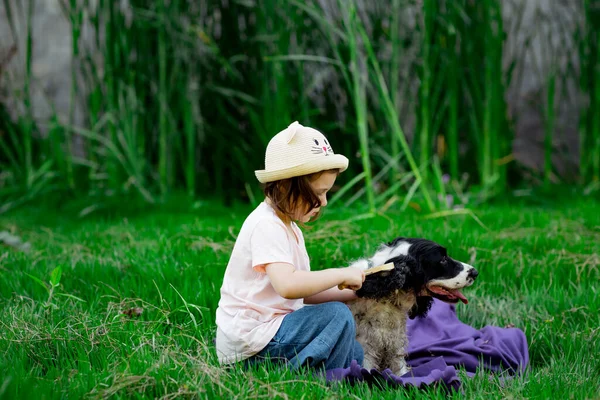 Маленькая Красивая Девушка Шляпе Расчесывающая Свою Любимую Собаку Парке Одеяле — стоковое фото