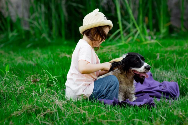 Une Petite Belle Fille Dans Chapeau Peignant Son Chien Préféré — Photo