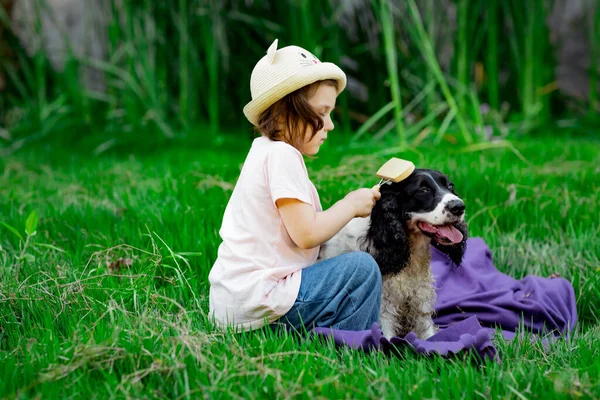 Uma Menina Pequena Bonita Chapéu Penteando Seu Cão Favorito Parque — Fotografia de Stock