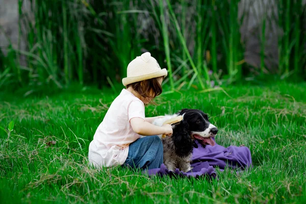 Uma Menina Pequena Bonita Chapéu Penteando Seu Cão Favorito Parque — Fotografia de Stock