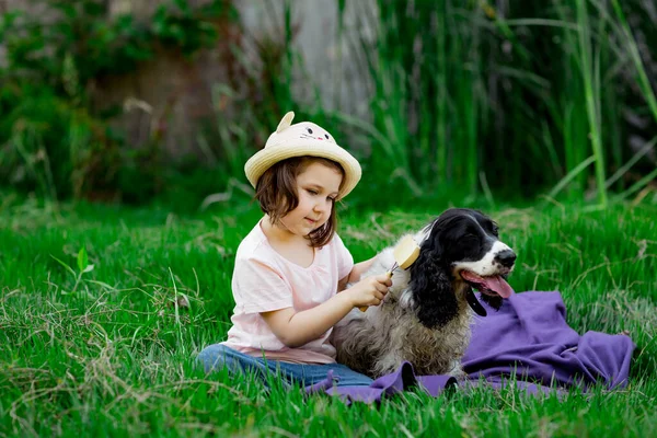 Uma Menina Pequena Bonita Chapéu Penteando Seu Cão Favorito Parque — Fotografia de Stock