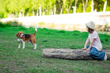 Şapkalı güzel bir kız, aktif genç bir köpekle yürüyor, bir av köpeği cinsi, güneşli bir günde yazın yürüyor.