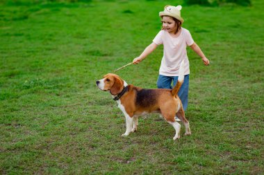 Şapkalı güzel bir kız, aktif genç bir köpekle yürüyor, bir av köpeği cinsi, güneşli bir günde yazın yürüyor.