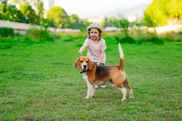 Une Belle Petite Fille Dans Chapeau Marchant Avec Jeune Chien — Photo