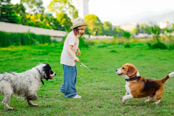 Une Belle Petite Fille Dans Chapeau Marchant Avec Jeune Chien — Photo