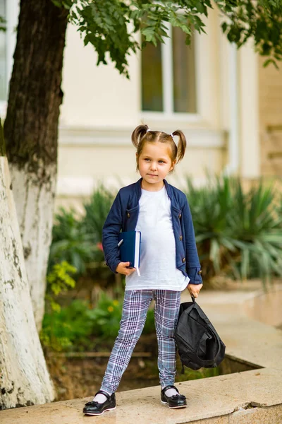 Ein Schönes Kleines Mädchen Eine Schülerin Nachmittag Der Nähe Der — Stockfoto