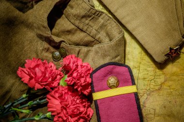 Karanfil yem-kap ve koyu arka plan üzerinde bluz ile.