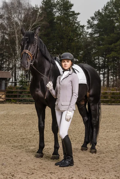 Cavaleiro em uniforme com um cavalo marrom ao ar livre — Fotografia de Stock
