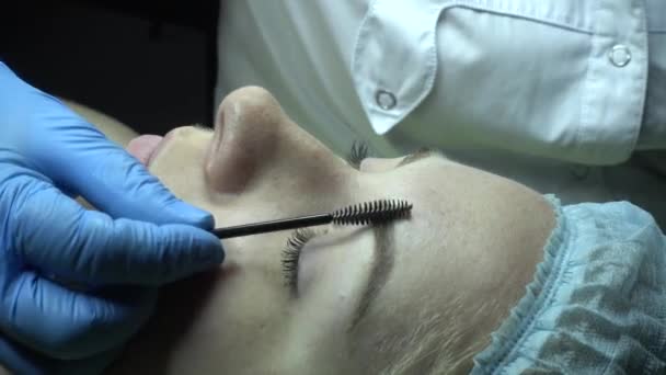 Procedimento de Microblading. Mestre trabalha com as sobrancelhas . — Vídeo de Stock