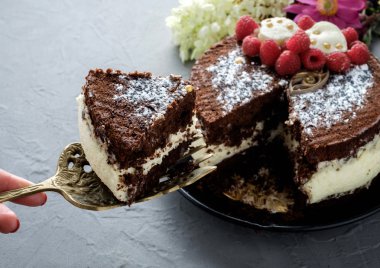 Lezzetli çikolata ahududu cake gri arka plan üzerine dilimlenmiş.