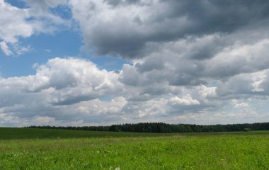 Yeşil çimen çayırı, orman ve mavi gök kabarık bulutlarla dolu güzel doğa.