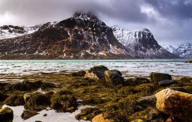 Norveç fiyordunun dramatik manzarası. Norveç, Lofoten adalarının güzel manzarası. Deniz kıyısındaki kayalar.