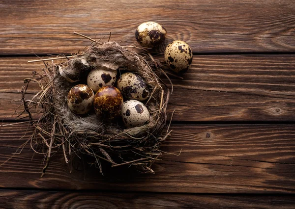 Wachteleier im Nest auf einem Holzbrett. — Stockfoto