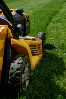 Yeşil çimenlerin üzerinde sarı çim biçme makinesi