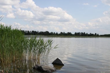 Doğa, Altay bölgesi, Batı Sibirya, Rusya Federasyonu