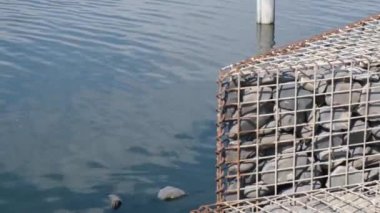 Suni gölün kıyısındaki telli kafesin içindeki dekoratif taşlar. El kamerasıyla statik çekim. 4k video