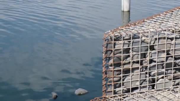 Kamienie dekoracyjne w klatce przewodowej na wybrzeżu sztucznego jeziora. Ręczny strzał statyczny. 4k wideo — Wideo stockowe