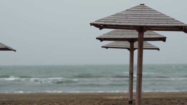 เก้าอี้อาบแดดเรียงรายอยู่ริมทะเล การยิงแบบคงที่ 4K . — วีดีโอสต็อก