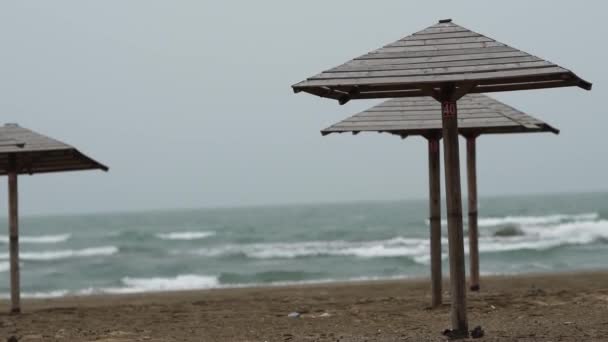 Espreguiçadeiras alinhadas junto ao mar. Tiro estático 4K. — Vídeo de Stock