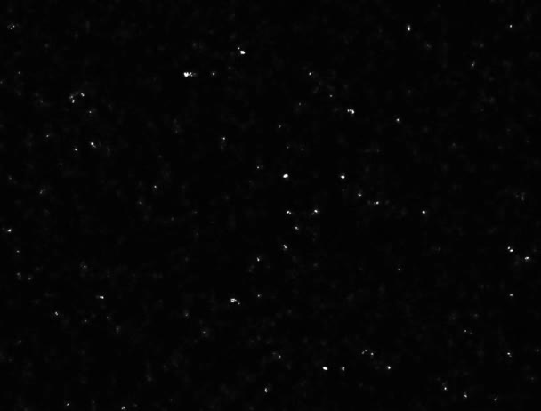 Νυχτερινός ουρανός αστέρων με λαμπερό ή αναβοσβήνει αστέρια φόντο κίνησης. Looping απρόσκοπτη χώρο φόντο. — Αρχείο Βίντεο