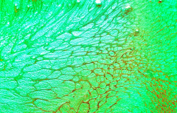 Abstract Background Made Fluid Art Technique — Stock Photo, Image