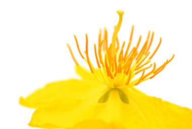 Çuval bezi dokusu arkaplanını kapat 