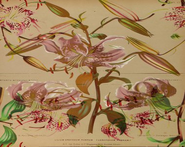 Tasarım Web Tasarımı veya Tekstil Tasarımı için Güzel Tam HD Kusursuz Soyut Arkaplan