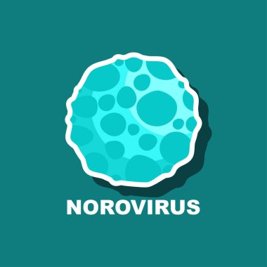 Norovirüs virüsü mide vektör gösterimi. 