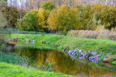 Absbroekbos koruma alanındaki çayırlarda yeşil çimenler ve taşlar arasında akan Gelenbeek Nehri, arka planda sarımsı yeşil ve çıplak ağaçlar, Munstergeleen, Limburg, Hollanda 'da bulutlu bir gün